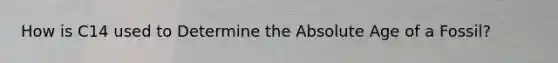 How is C14 used to Determine the Absolute Age of a Fossil?