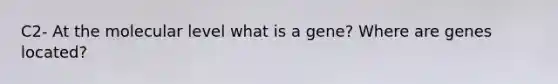 C2- At the molecular level what is a gene? Where are genes located?