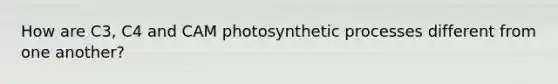 How are C3, C4 and CAM photosynthetic processes different from one another?