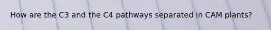 How are the C3 and the C4 pathways separated in CAM plants?