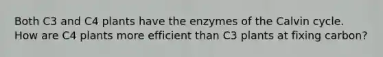 Both C3 and C4 plants have the enzymes of the Calvin cycle. How are C4 plants more efficient than C3 plants at fixing carbon?