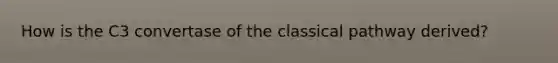 How is the C3 convertase of the classical pathway derived?