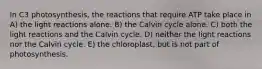 In C3 photosynthesis, the reactions that require ATP take place in A) the light reactions alone. B) the Calvin cycle alone. C) both the light reactions and the Calvin cycle. D) neither the light reactions nor the Calvin cycle. E) the chloroplast, but is not part of photosynthesis.