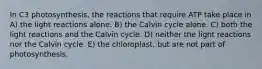 In C3 photosynthesis, the reactions that require ATP take place in A) the light reactions alone. B) the Calvin cycle alone. C) both the light reactions and the Calvin cycle. D) neither the light reactions nor the Calvin cycle. E) the chloroplast, but are not part of photosynthesis.