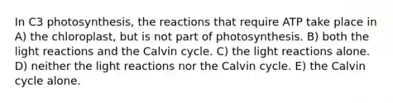 In C3 photosynthesis, the reactions that require ATP take place in A) the chloroplast, but is not part of photosynthesis. B) both the light reactions and the Calvin cycle. C) the light reactions alone. D) neither the light reactions nor the Calvin cycle. E) the Calvin cycle alone.