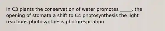 In C3 plants the conservation of water promotes _____. the opening of stomata a shift to C4 photosynthesis the <a href='https://www.questionai.com/knowledge/kSUoWrrvoC-light-reactions' class='anchor-knowledge'>light reactions</a> photosynthesis photorespiration