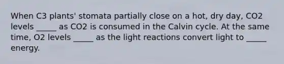 When C3 plants' stomata partially close on a hot, dry day, CO2 levels _____ as CO2 is consumed in the Calvin cycle. At the same time, O2 levels _____ as the light reactions convert light to _____ energy.