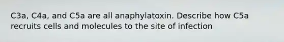 C3a, C4a, and C5a are all anaphylatoxin. Describe how C5a recruits cells and molecules to the site of infection