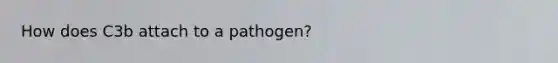 How does C3b attach to a pathogen?