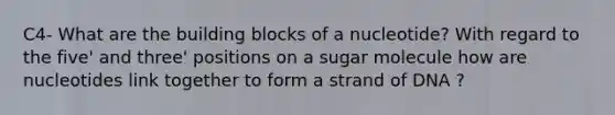 C4- What are the building blocks of a nucleotide? With regard to the five' and three' positions on a sugar molecule how are nucleotides link together to form a strand of DNA ?