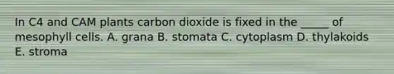 In C4 and CAM plants carbon dioxide is fixed in the _____ of mesophyll cells. A. grana B. stomata C. cytoplasm D. thylakoids E. stroma