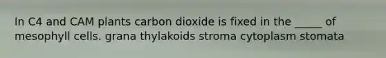 In C4 and CAM plants carbon dioxide is fixed in the _____ of mesophyll cells. grana thylakoids stroma cytoplasm stomata