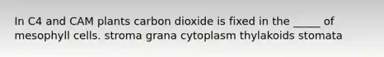 In C4 and CAM plants carbon dioxide is fixed in the _____ of mesophyll cells. stroma grana cytoplasm thylakoids stomata