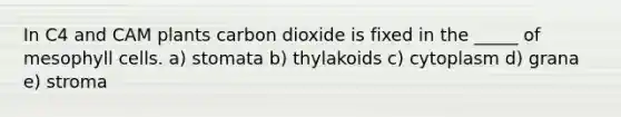 In C4 and CAM plants carbon dioxide is fixed in the _____ of mesophyll cells. a) stomata b) thylakoids c) cytoplasm d) grana e) stroma