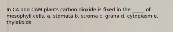 In C4 and CAM plants carbon dioxide is fixed in the _____ of mesophyll cells. a. stomata b. stroma c. grana d. cytoplasm e. thylakoids