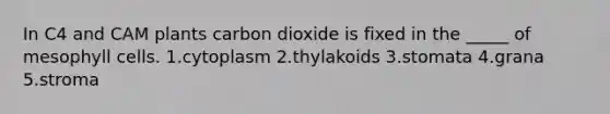 In C4 and CAM plants carbon dioxide is fixed in the _____ of mesophyll cells. 1.cytoplasm 2.thylakoids 3.stomata 4.grana 5.stroma