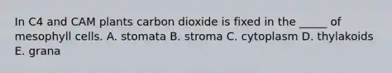 In C4 and CAM plants carbon dioxide is fixed in the _____ of mesophyll cells. A. stomata B. stroma C. cytoplasm D. thylakoids E. grana