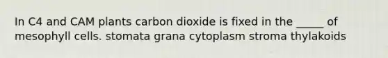 In C4 and CAM plants carbon dioxide is fixed in the _____ of mesophyll cells. stomata grana cytoplasm stroma thylakoids