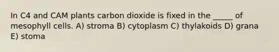 In C4 and CAM plants carbon dioxide is fixed in the _____ of mesophyll cells. A) stroma B) cytoplasm C) thylakoids D) grana E) stoma