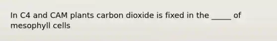 In C4 and CAM plants carbon dioxide is fixed in the _____ of mesophyll cells