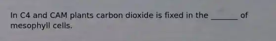 In C4 and CAM plants carbon dioxide is fixed in the _______ of mesophyll cells.