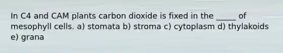 In C4 and CAM plants carbon dioxide is fixed in the _____ of mesophyll cells. a) stomata b) stroma c) cytoplasm d) thylakoids e) grana