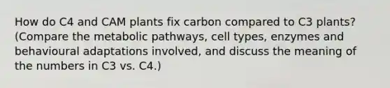 How do C4 and CAM plants fix carbon compared to C3 plants? (Compare the metabolic pathways, cell types, enzymes and behavioural adaptations involved, and discuss the meaning of the numbers in C3 vs. C4.)