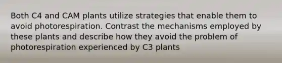 Both C4 and CAM plants utilize strategies that enable them to avoid photorespiration. Contrast the mechanisms employed by these plants and describe how they avoid the problem of photorespiration experienced by C3 plants