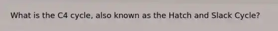 What is the C4 cycle, also known as the Hatch and Slack Cycle?