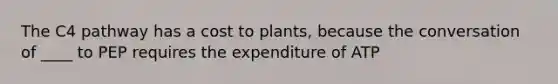 The C4 pathway has a cost to plants, because the conversation of ____ to PEP requires the expenditure of ATP