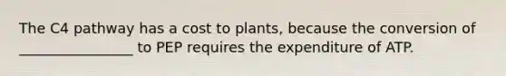 The C4 pathway has a cost to plants, because the conversion of ________________ to PEP requires the expenditure of ATP.