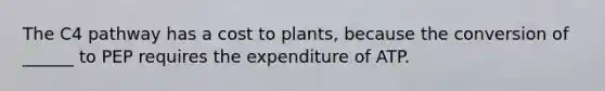 The C4 pathway has a cost to plants, because the conversion of ______ to PEP requires the expenditure of ATP.