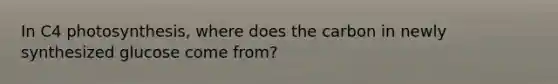 In C4 photosynthesis, where does the carbon in newly synthesized glucose come from?