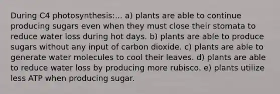 During C4 photosynthesis:... a) plants are able to continue producing sugars even when they must close their stomata to reduce water loss during hot days. b) plants are able to produce sugars without any input of carbon dioxide. c) plants are able to generate water molecules to cool their leaves. d) plants are able to reduce water loss by producing more rubisco. e) plants utilize less ATP when producing sugar.