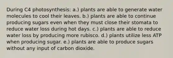 During C4 photosynthesis: a.) plants are able to generate water molecules to cool their leaves. b.) plants are able to continue producing sugars even when they must close their stomata to reduce water loss during hot days. c.) plants are able to reduce water loss by producing more rubisco. d.) plants utilize less ATP when producing sugar. e.) plants are able to produce sugars without any input of carbon dioxide.