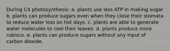 During C4 photosynthesis: a. plants use less ATP in making sugar b. plants can produce sugars even when they close their stomata to reduce water loss on hot days. c. plants are able to generate water molecules to cool their leaves. d. plants produce more rubisco. e. plants can produce sugars without any input of carbon dioxide.