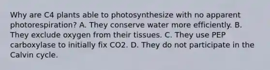 Why are C4 plants able to photosynthesize with no apparent photorespiration? A. They conserve water more efficiently. B. They exclude oxygen from their tissues. C. They use PEP carboxylase to initially fix CO2. D. They do not participate in the Calvin cycle.