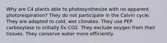 Why are C4 plants able to photosynthesize with no apparent photorespiration? They do not participate in the Calvin cycle. They are adapted to cold, wet climates. They use PEP carboxylase to initially fix CO2. They exclude oxygen from their tissues. They conserve water more efficiently.