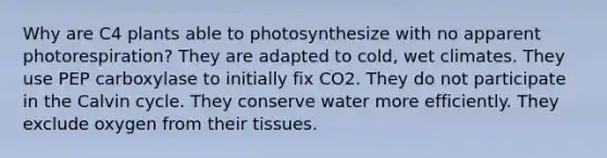 Why are C4 plants able to photosynthesize with no apparent photorespiration? They are adapted to cold, wet climates. They use PEP carboxylase to initially fix CO2. They do not participate in the Calvin cycle. They conserve water more efficiently. They exclude oxygen from their tissues.