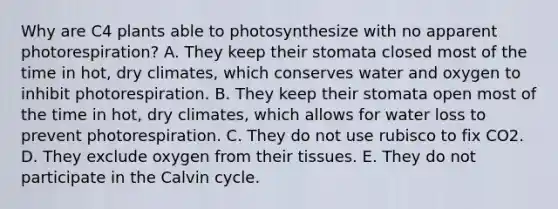 Why are C4 plants able to photosynthesize with no apparent photorespiration? A. They keep their stomata closed most of the time in hot, dry climates, which conserves water and oxygen to inhibit photorespiration. B. They keep their stomata open most of the time in hot, dry climates, which allows for water loss to prevent photorespiration. C. They do not use rubisco to fix CO2. D. They exclude oxygen from their tissues. E. They do not participate in the Calvin cycle.