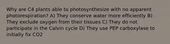 Why are C4 plants able to photosynthesize with no apparent photorespiration? A) They conserve water more efficiently B) They exclude oxygen from their tissues C) They do not participate in the Calvin cycle D) They use PEP carboxylase to initially fix CO2