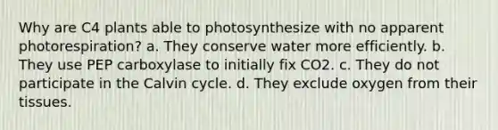 Why are C4 plants able to photosynthesize with no apparent photorespiration? a. They conserve water more efficiently. b. They use PEP carboxylase to initially fix CO2. c. They do not participate in the Calvin cycle. d. They exclude oxygen from their tissues.