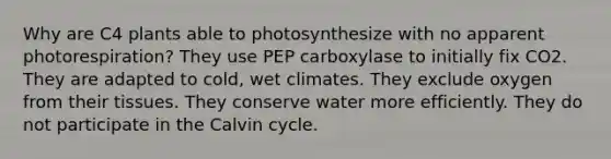 Why are C4 plants able to photosynthesize with no apparent photorespiration? They use PEP carboxylase to initially fix CO2. They are adapted to cold, wet climates. They exclude oxygen from their tissues. They conserve water more efficiently. They do not participate in the Calvin cycle.