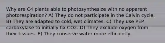 Why are C4 plants able to photosynthesize with no apparent photorespiration? A) They do not participate in the Calvin cycle. B) They are adapted to cold, wet climates. C) They use PEP carboxylase to initially fix CO2. D) They exclude oxygen from their tissues. E) They conserve water more efficiently.