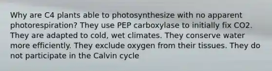 Why are C4 plants able to photosynthesize with no apparent photorespiration? They use PEP carboxylase to initially fix CO2. They are adapted to cold, wet climates. They conserve water more efficiently. They exclude oxygen from their tissues. They do not participate in the Calvin cycle