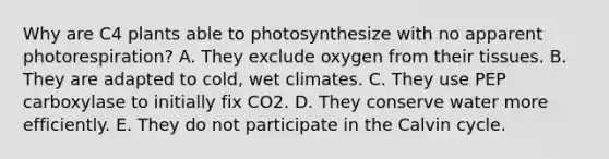 Why are C4 plants able to photosynthesize with no apparent photorespiration? A. They exclude oxygen from their tissues. B. They are adapted to cold, wet climates. C. They use PEP carboxylase to initially fix CO2. D. They conserve water more efficiently. E. They do not participate in the Calvin cycle.