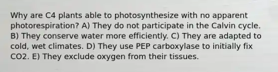 Why are C4 plants able to photosynthesize with no apparent photorespiration? A) They do not participate in the Calvin cycle. B) They conserve water more efficiently. C) They are adapted to cold, wet climates. D) They use PEP carboxylase to initially fix CO2. E) They exclude oxygen from their tissues.