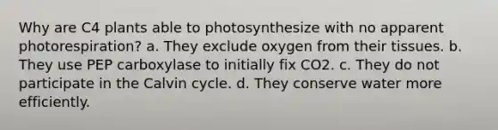 Why are C4 plants able to photosynthesize with no apparent photorespiration? a. They exclude oxygen from their tissues. b. They use PEP carboxylase to initially fix CO2. c. They do not participate in the Calvin cycle. d. They conserve water more efficiently.