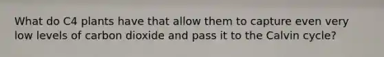 What do C4 plants have that allow them to capture even very low levels of carbon dioxide and pass it to the Calvin cycle?