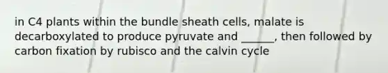 in C4 plants within the bundle sheath cells, malate is decarboxylated to produce pyruvate and ______, then followed by carbon fixation by rubisco and the calvin cycle